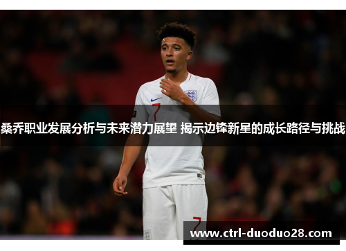 桑乔职业发展分析与未来潜力展望 揭示边锋新星的成长路径与挑战